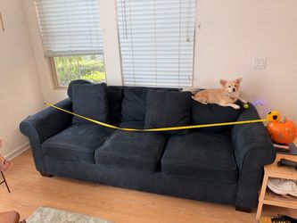 Living Spaces Couch + Sleeper Sofa