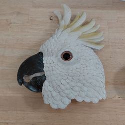Parrot cocktail bird head home wall decor