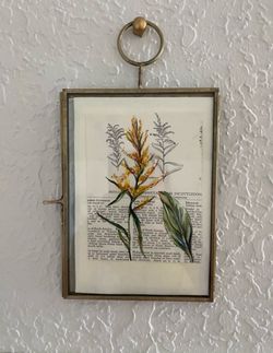 For sale two pre-owned botanical hand-drawn framed in gold floating frames