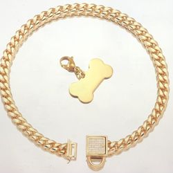 Gold Dog Chain Collar With Ice Out Buckle With Tag