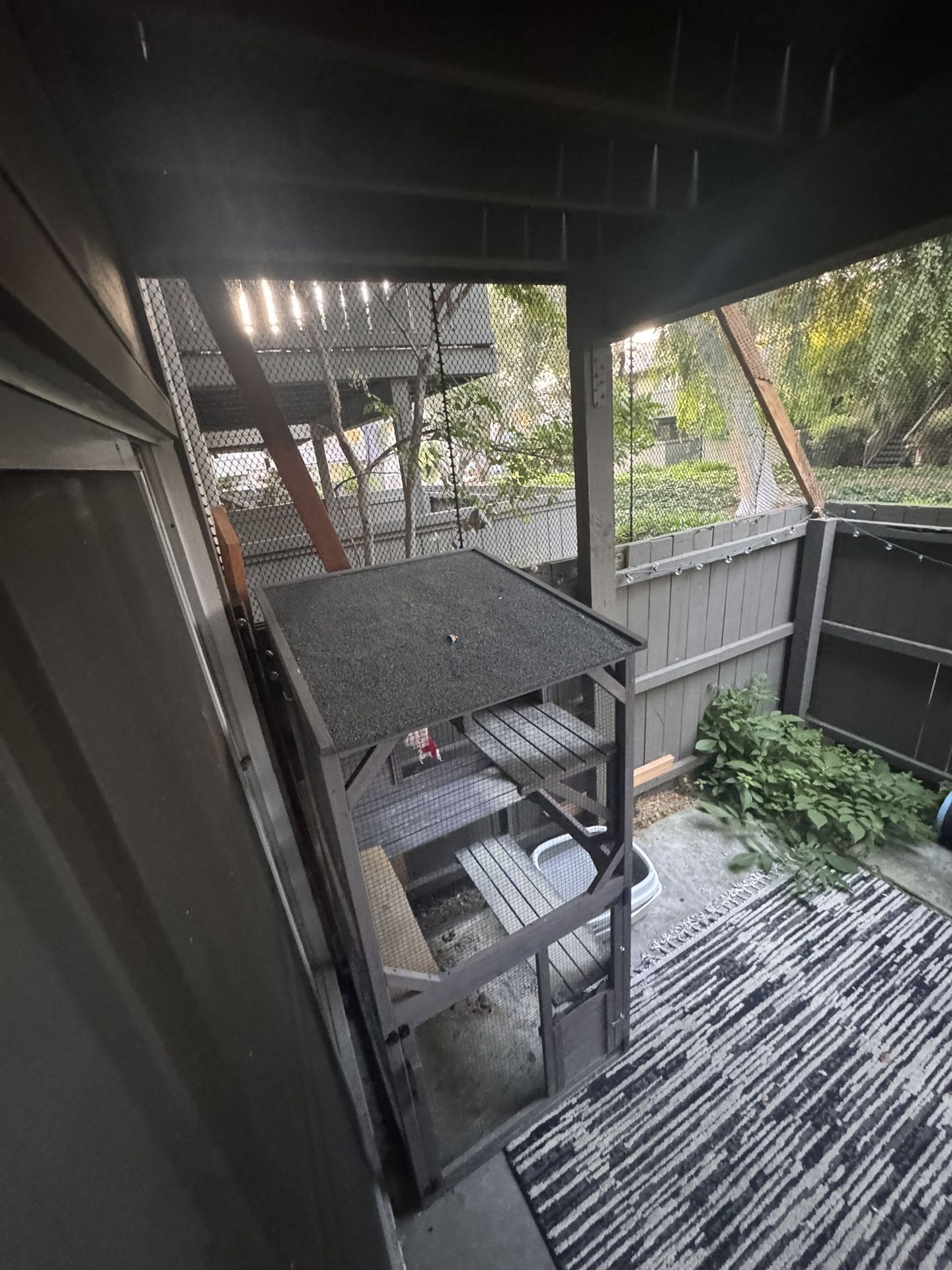 Cat House