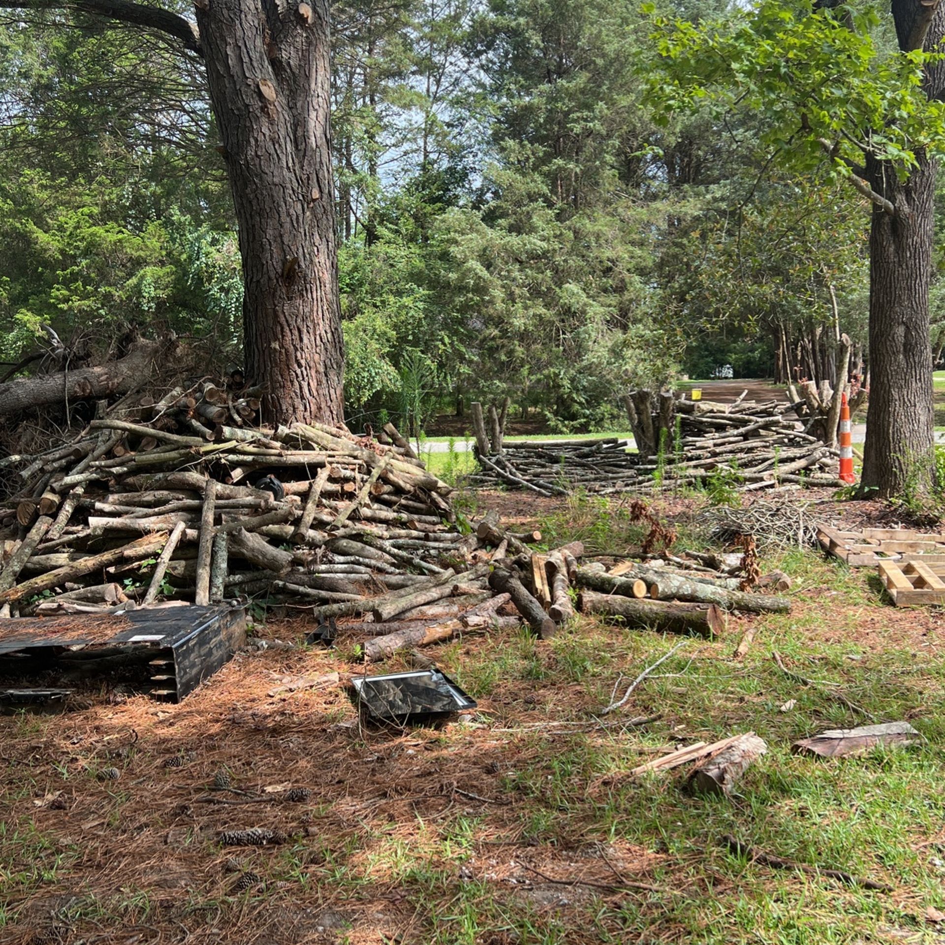 Free Firewood
