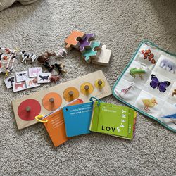 Lot Of Lovevery Toddler Toys 