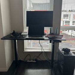 Standing Desk 