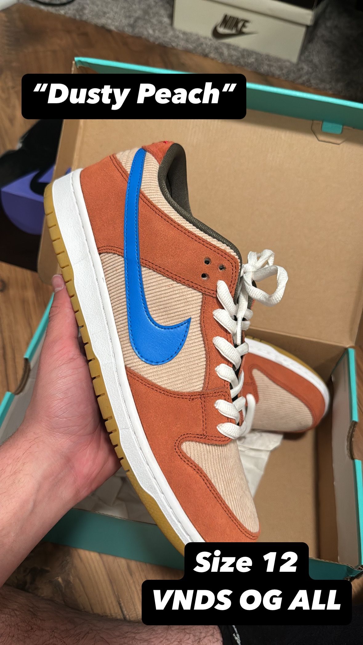 Nike Dunk Low SB Dusty Peach