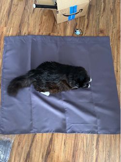Purple blackout curtains (two panels)