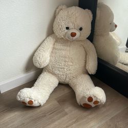 Big Teddy Bear