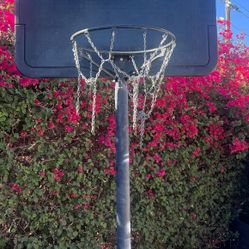 Basketball Hoop