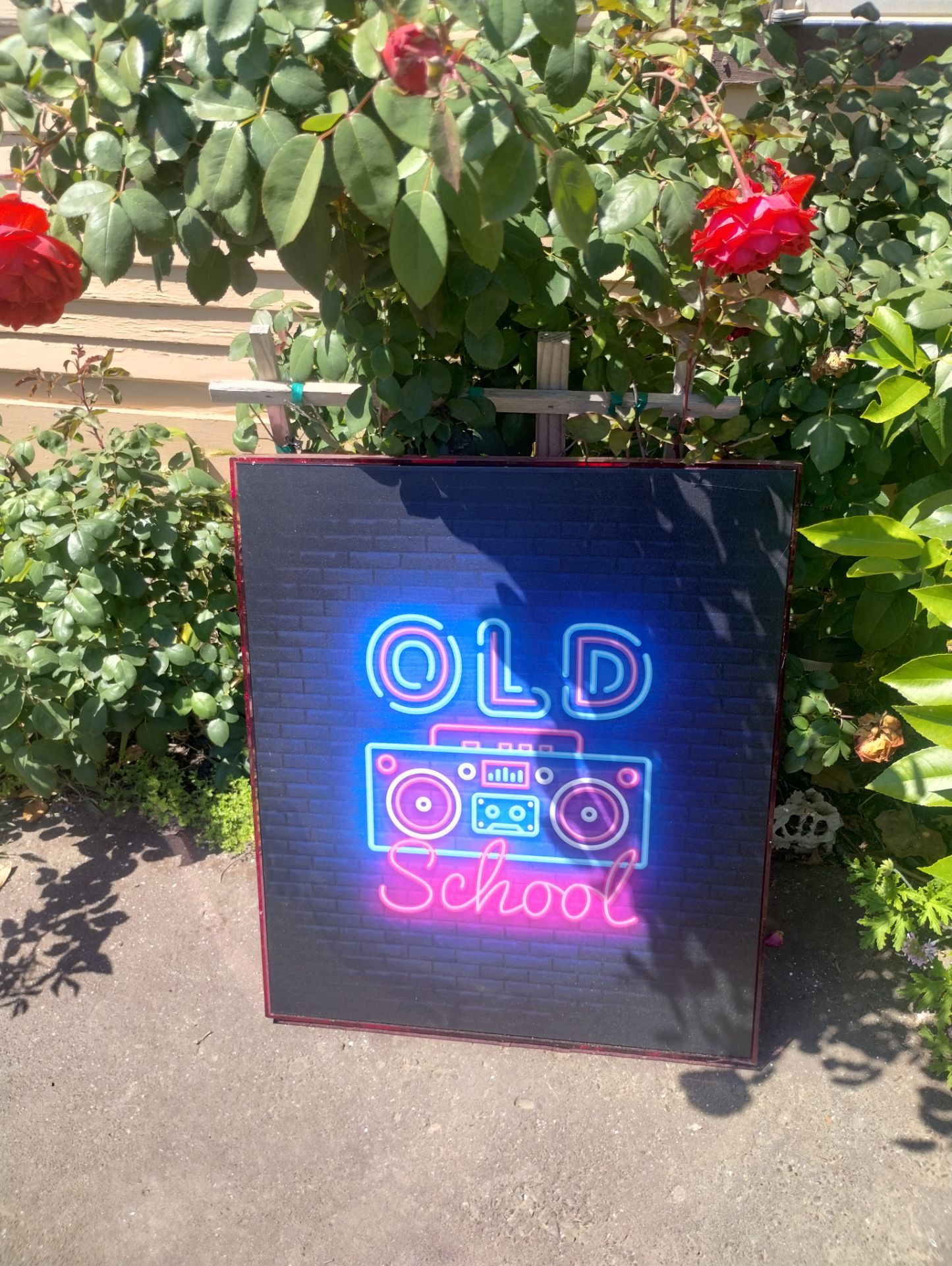 Old school print canvas with translucent frame