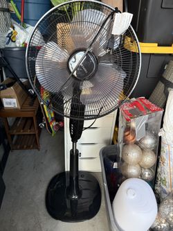 Fan