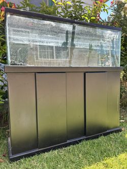 50 Gallon Aquarium With Stand