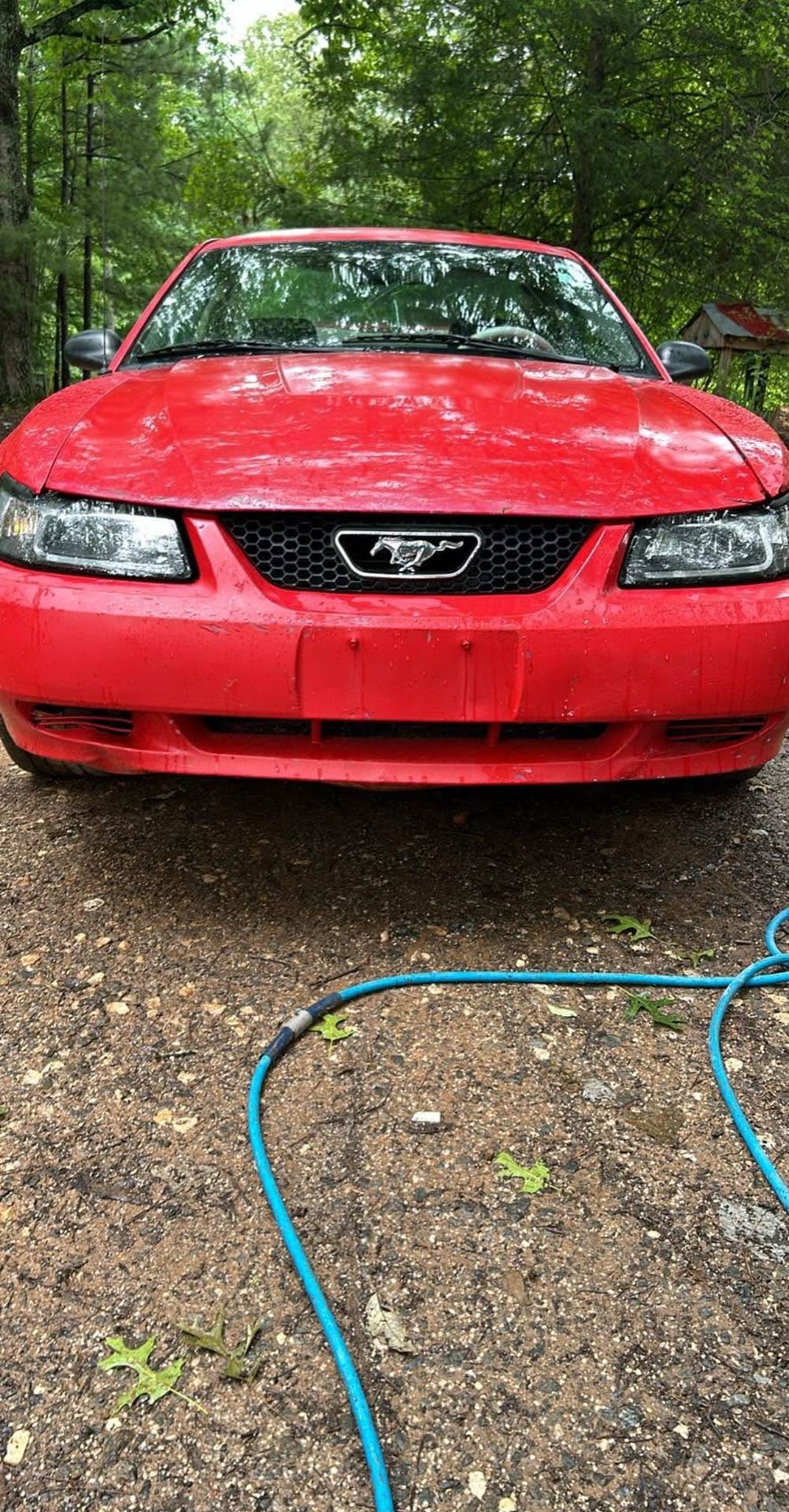 2003 Ford Mustang