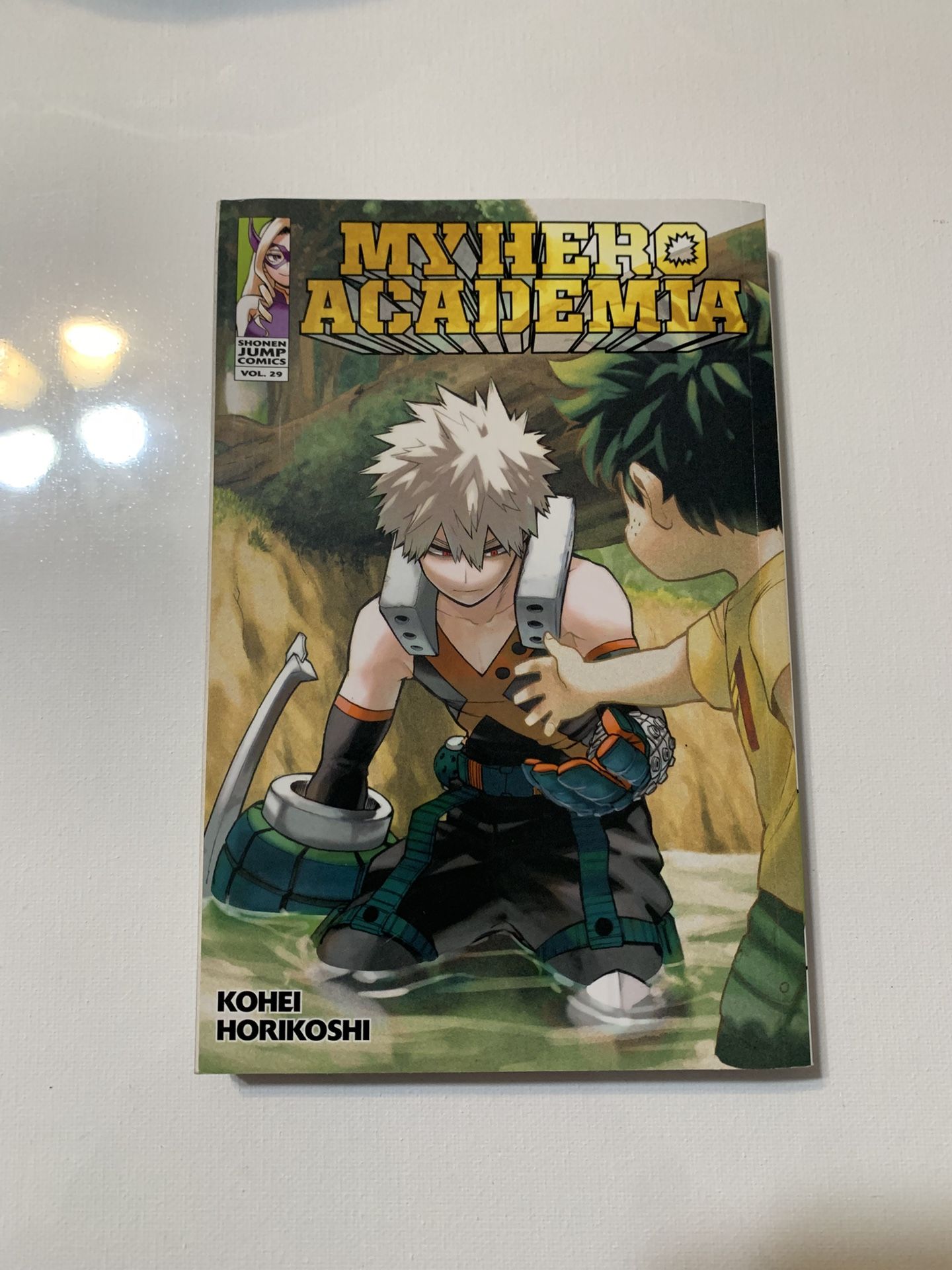 My Hero Academia Volume 29