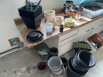 Mixed Lot of Plant Pots