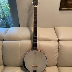 Epiphone Banjo - Open Back Banjo