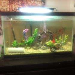 10 Gallon Fishtank