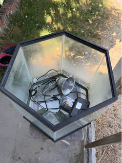 Turtle tank and accessories