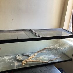 Reptile Aquariums