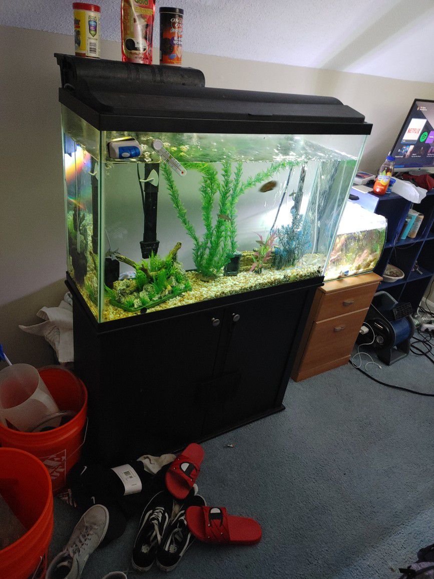 45 Gallon Fish Tank Everything Included