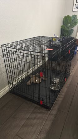 Dog Crate
