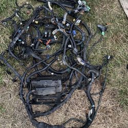 Engine Bay Wiring Harness With Fuse Box  Honda Element Part