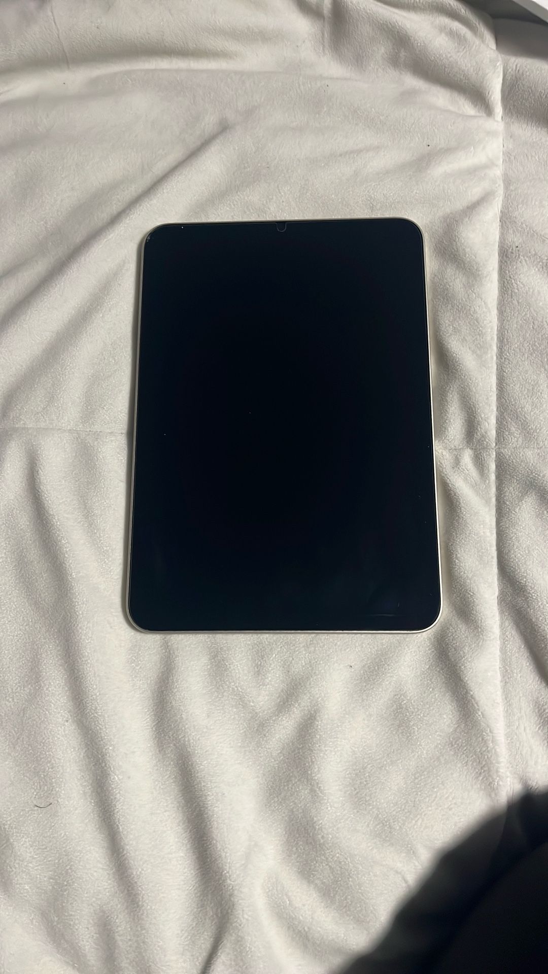iPad Mini