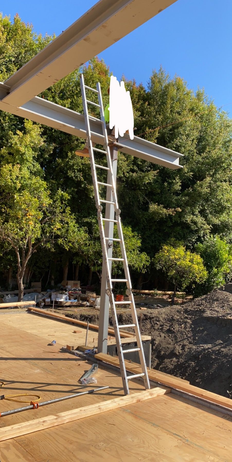 Ladder of 8ft & 16ft