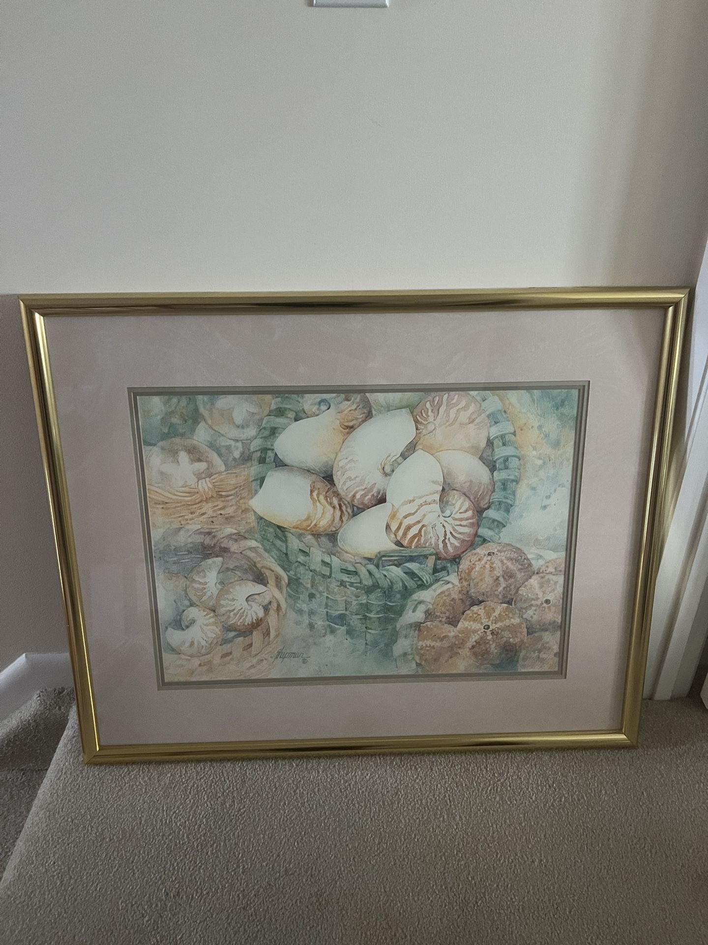 Seashell Art