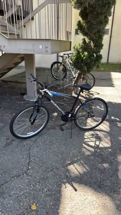 Roadmaster mountain bike