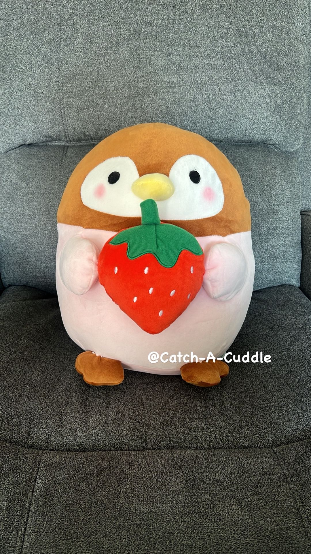 BRAND NEW Takashoji Pink Penguin Holding Strawberry Plush 14"