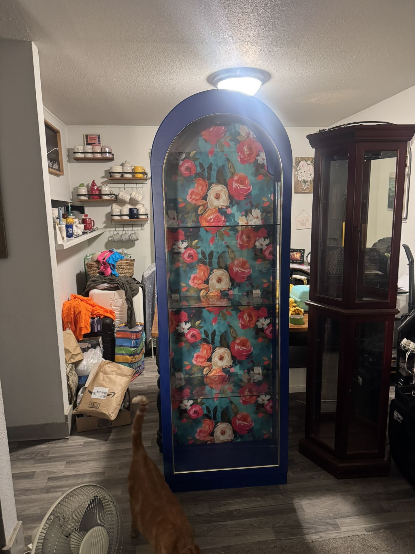 Curio Cabinet