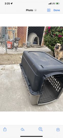 Doggie Transport