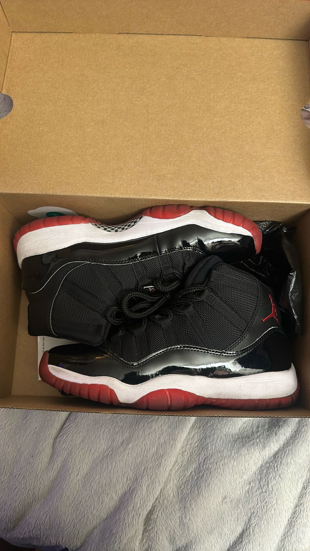 2019 Bred 11 7y