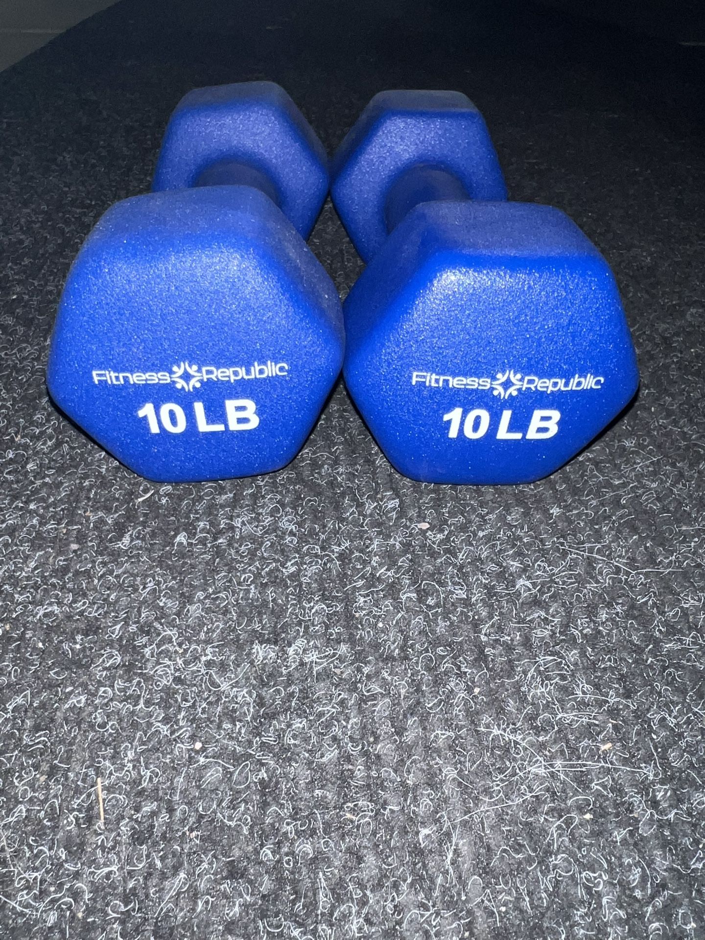10 Pound Dumbbell Pair