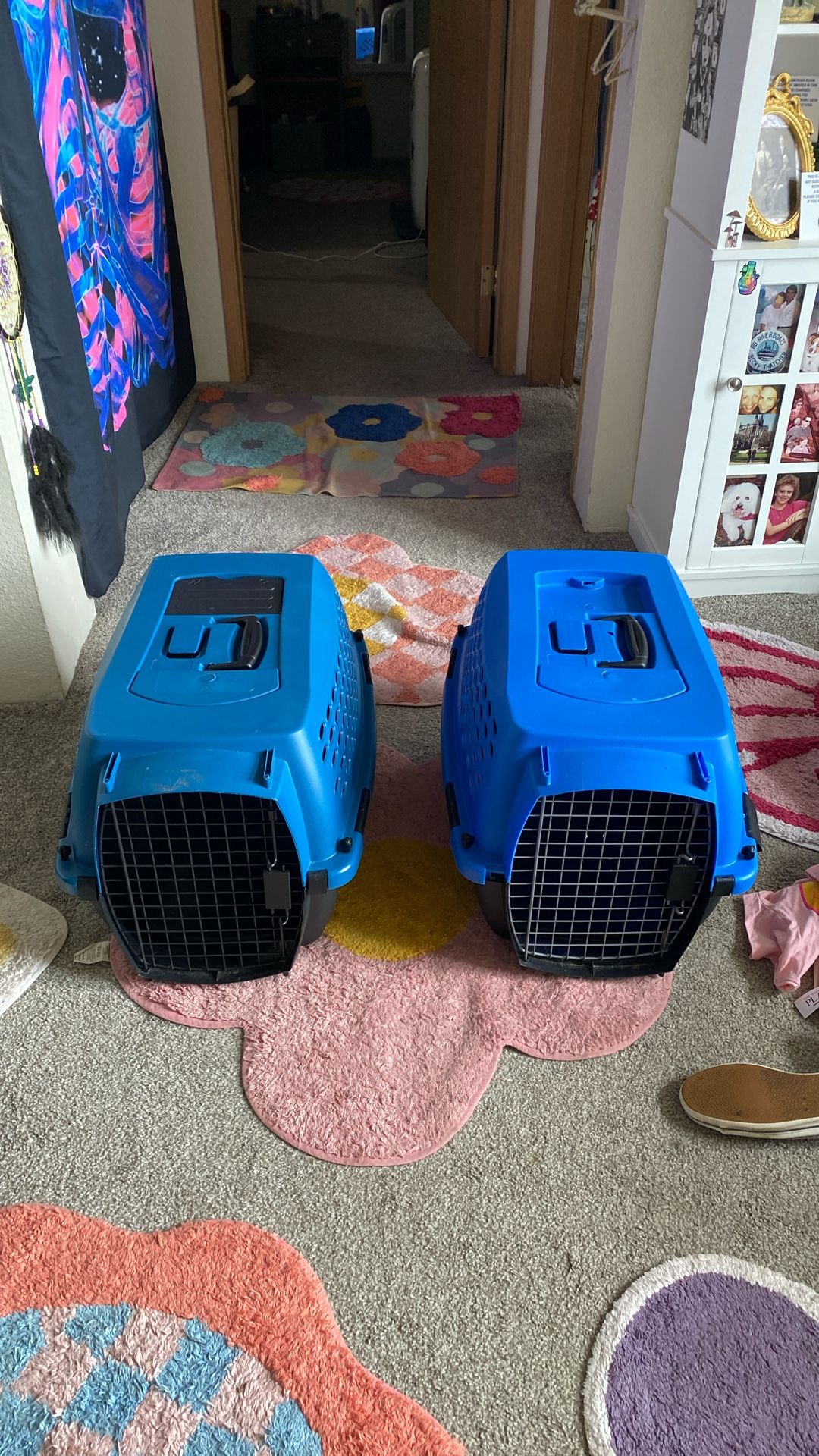 Pet Carriers