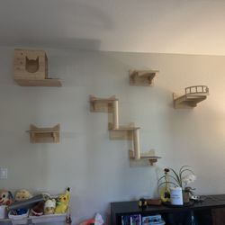 Cat Wall Shelves 