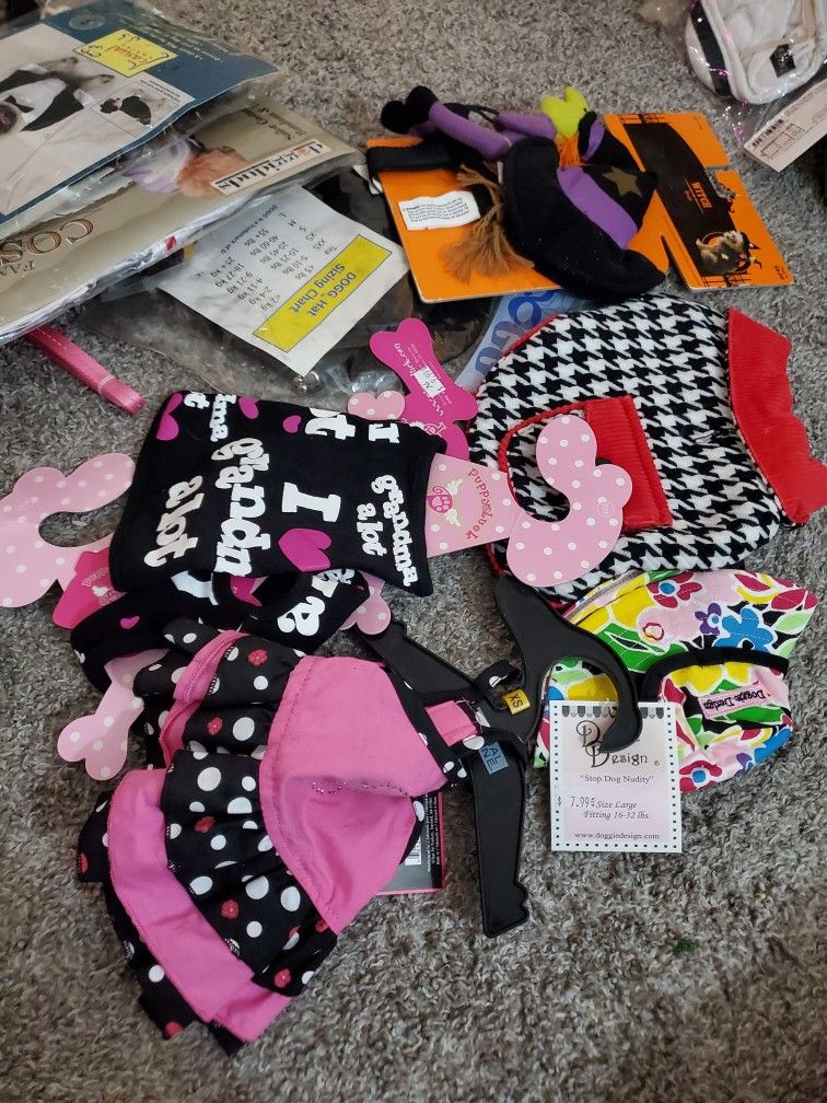 2000$ Worth Of Dog Leashes Collars Outfits Harnesses Etc For 600$