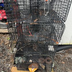 Shrimp pots and buoy