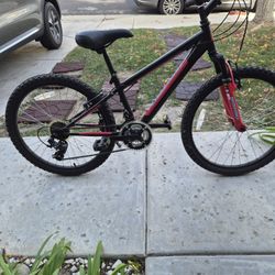 2 Nishiki 24" Kids Mountain Bikes 