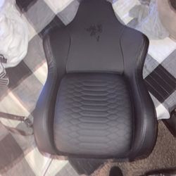 Razer back cushion