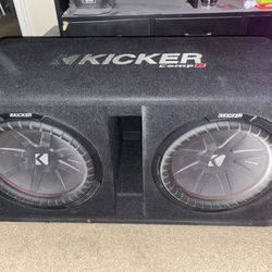 12 Inch Subwoofers