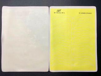 ✨ EYEBROW PRACTICE SHEETS – 11 PACKS (25 PCS EACH)
