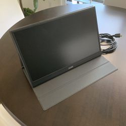 Portable monitor