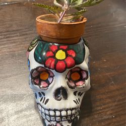 Skull Plant Holder 