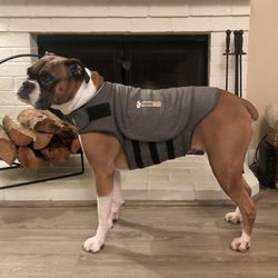 ThunderShirt Classic Anxiety and Calming Vest for Dogs, Heather Grey