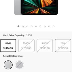 iPad 12.9 Cellular +wifi