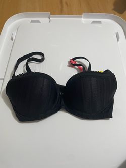 new cleo bra