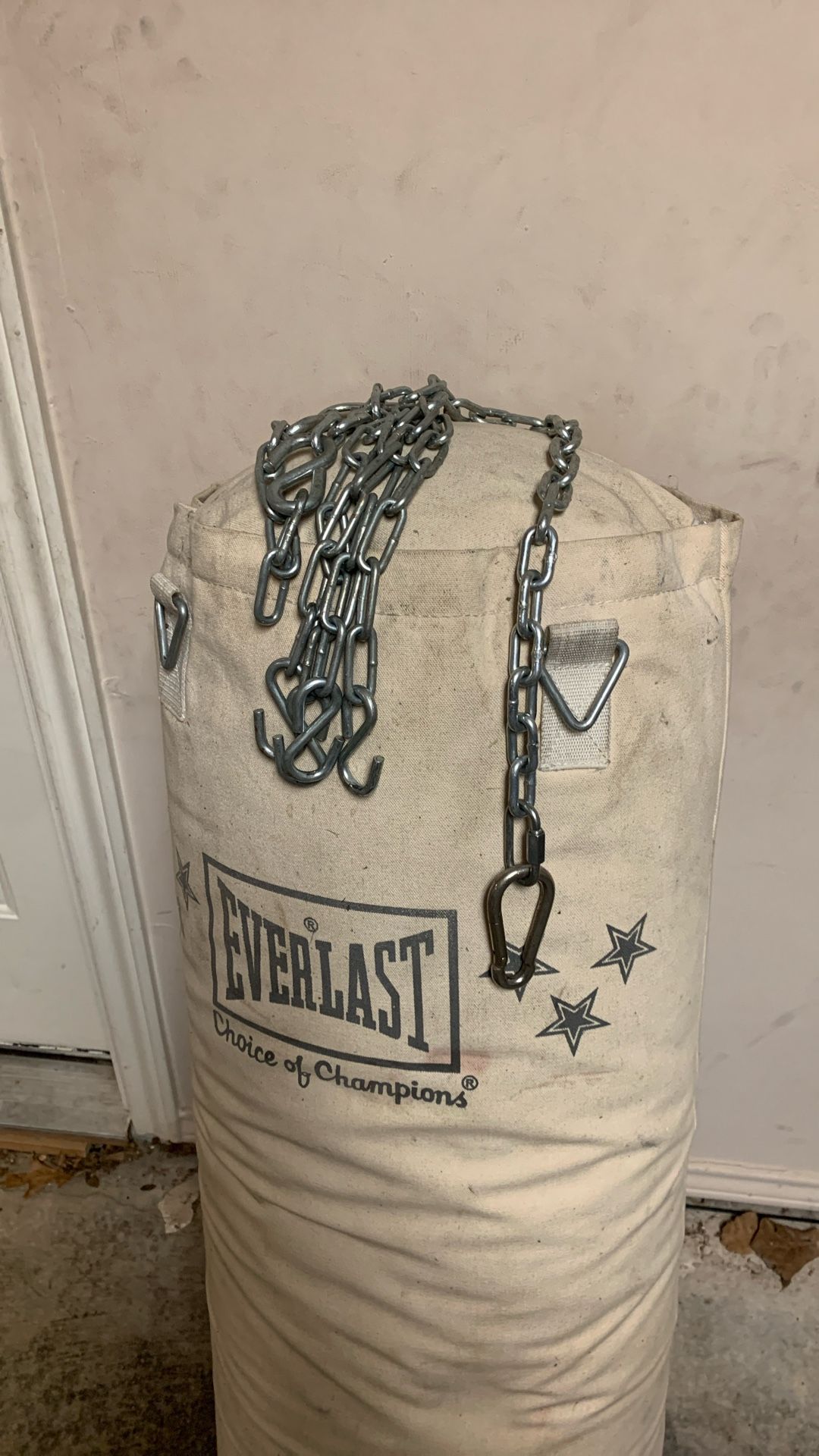 Everlast punching Bag