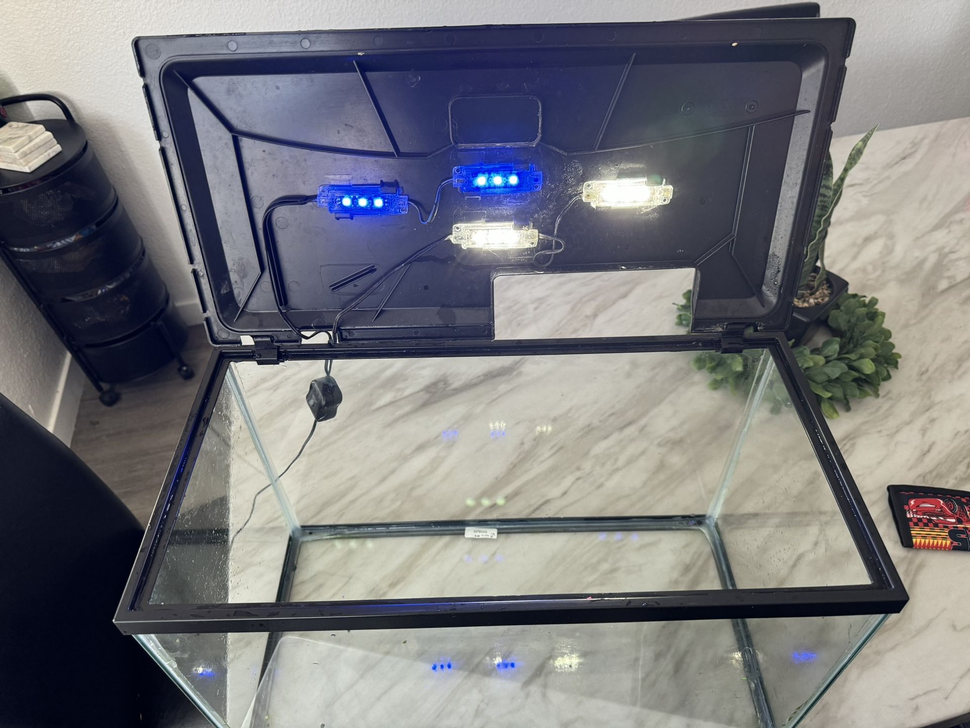Fish Tank 10 Gallon