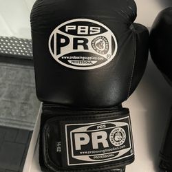 Pro Brand Boxing Gloves 